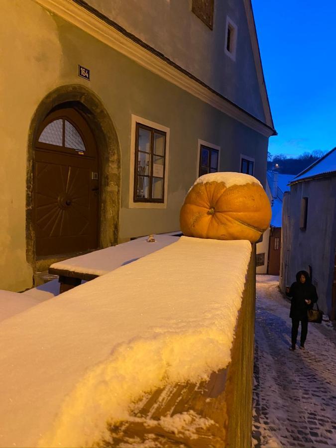 Cesky Krumlov Centrum Ap 6 Εξωτερικό φωτογραφία
